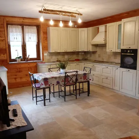 L'albero E Le Stelle *