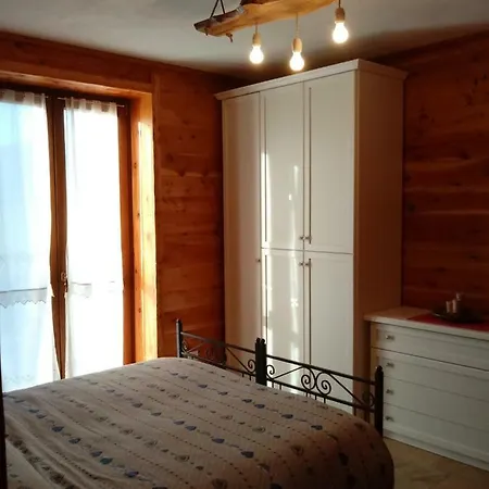 L'albero E Le Stelle *