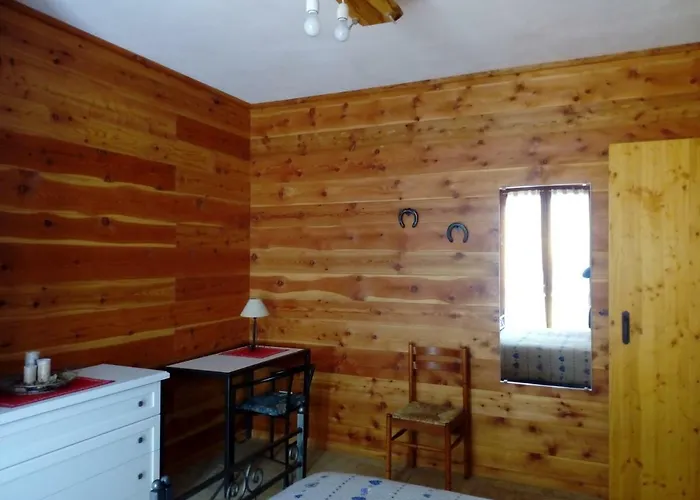 L'albero E Le Stelle Borgo San Dalmazzo